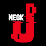 NEOK J – Data analysis for the future